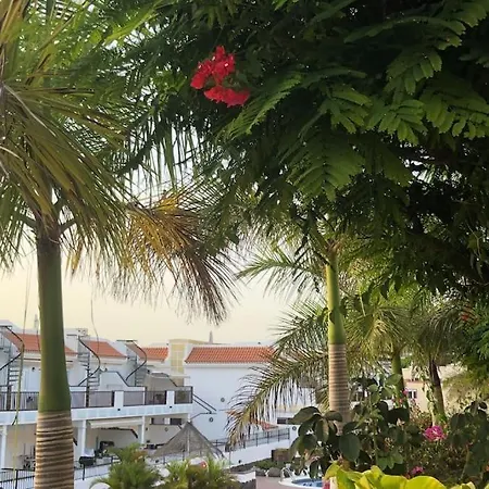Beautiful In Los Cristianos, Arona *